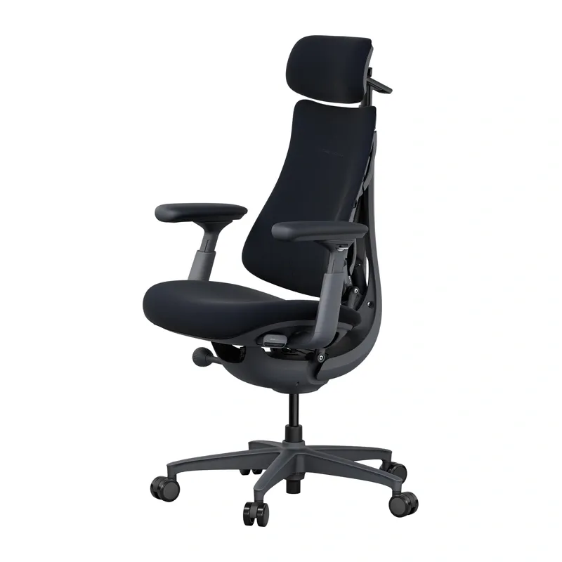 LiberNovo Omni 48 cm Ergonomic Chair (Black)